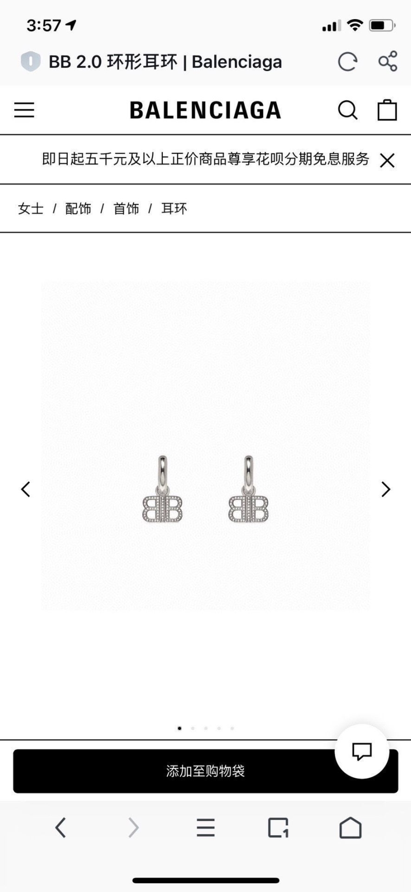 Burberry Earrings